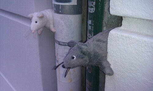 wpid-IMAG0695.jpg