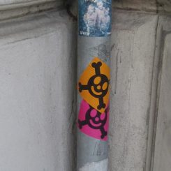 Skulls
