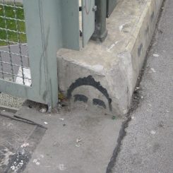 Just above and looking