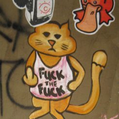 Fuck The Fuck Cat