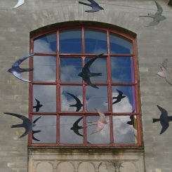 Birds by Blød Lykke – Valby